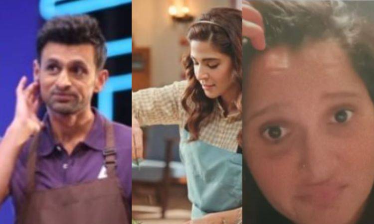 Is Ayesha Omar the cause of divorce between Shoaib Malik, Sania Mirza?