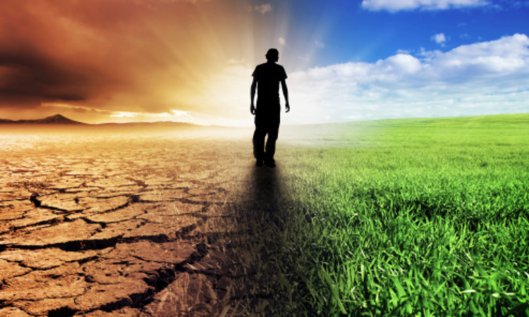Medical significance of near-death experiences