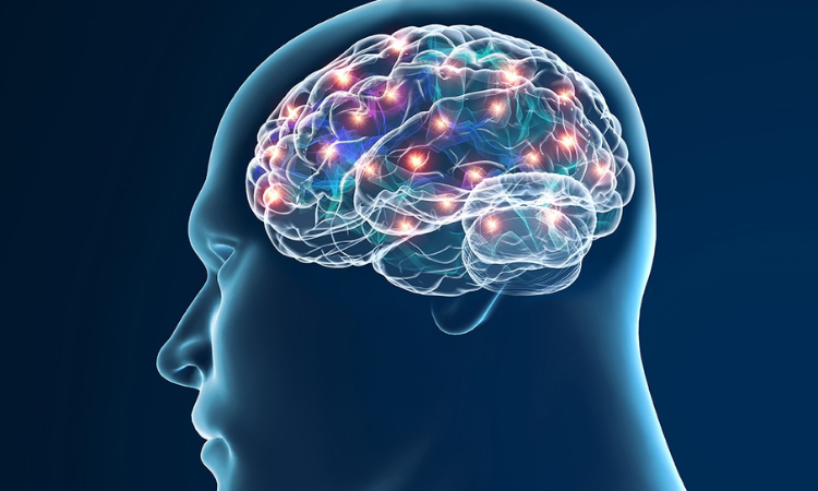 New research provides hope for drug treatment that slows neurodegenerative disease