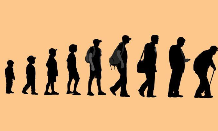 Female life expectancy higher than male: PDS  