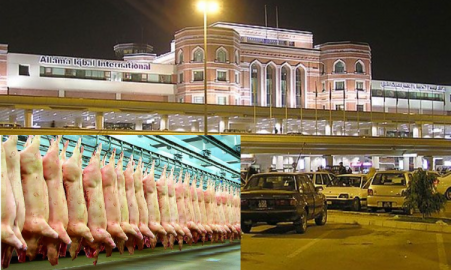 400 kg of Pork seized at Punjab airport 