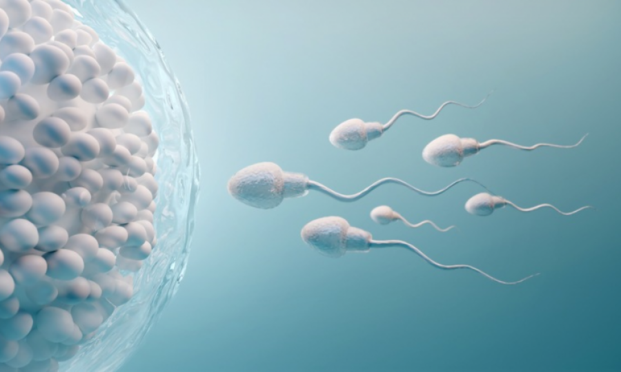 New hope for infertile couple with sperm syringe: Research