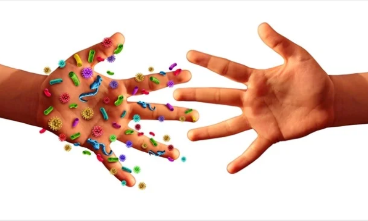 WHO to identify pathogens that could cause future outbreaks and pandemics