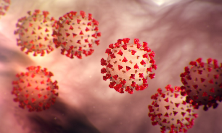 Another wave? 24 new coronavirus cases surface in Pakistan