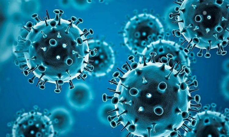 Former scientist from Wuhan claims COVID-19 was lab engineered