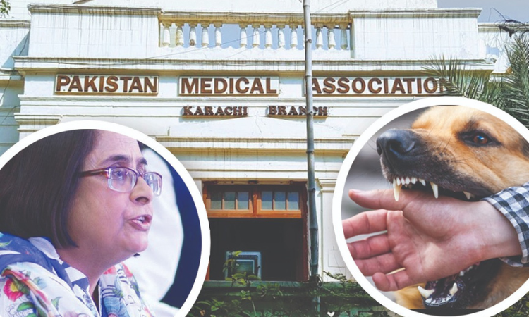 PMA concerned over increasing dog-bite cases  