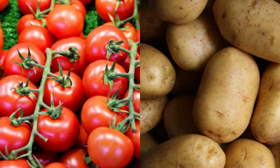 New drug made from potatoes, tomatoes can cure cancer