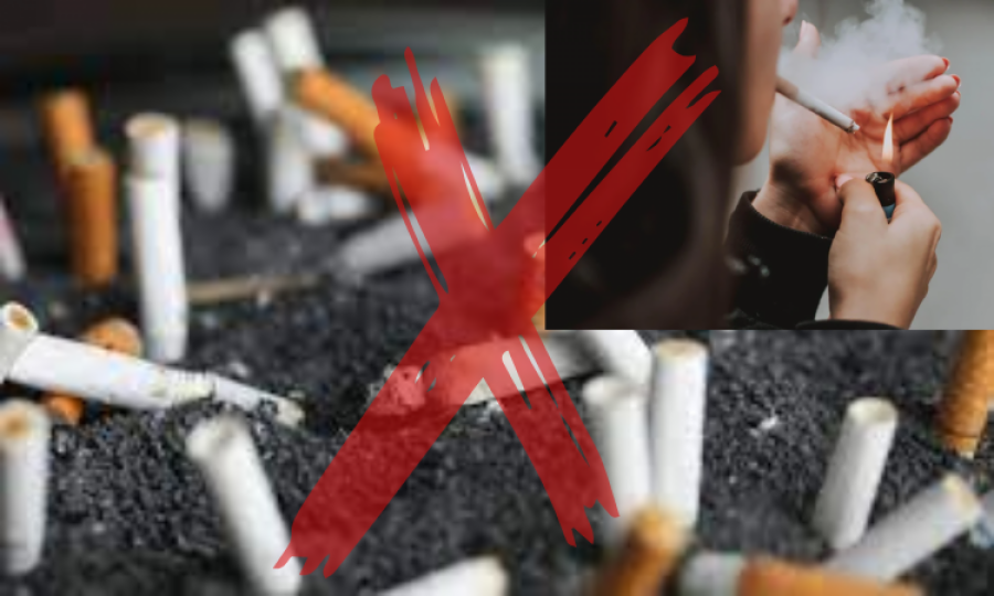 A Global First: New Zealand passes tobacco endgame bill 