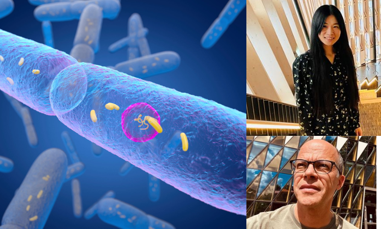 Nanomaterial may influence gut microbiome and immune system interactions: Research
