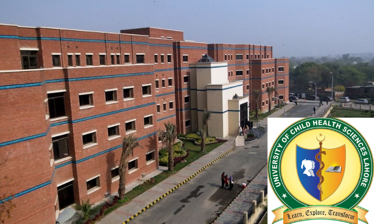 Introduction of medical specialties at UCHS: 6th syndicate meeting