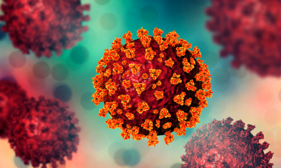 22 coronavirus cases in last 24 hours: NIH