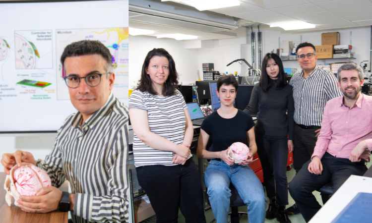 'Microbot' development could help treat seizures