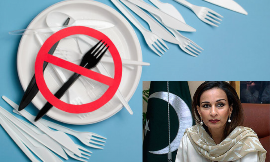 Use of plastic should be discouraged in Pakistan: Sherry Rehman    