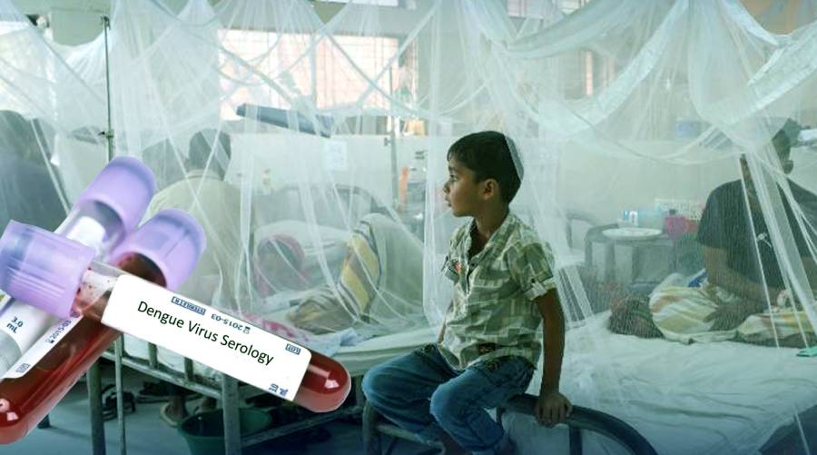 Dengue cases surpass 15,000 in Punjab