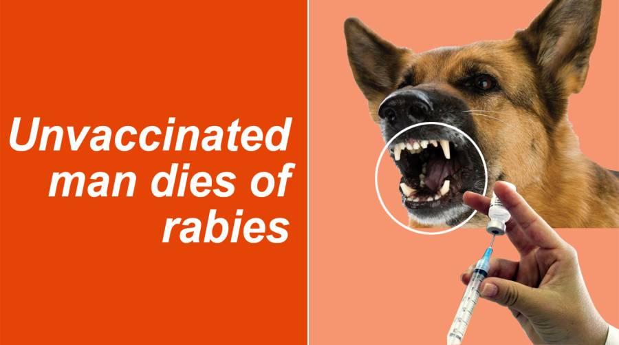 Unvaccinated man dies of rabies