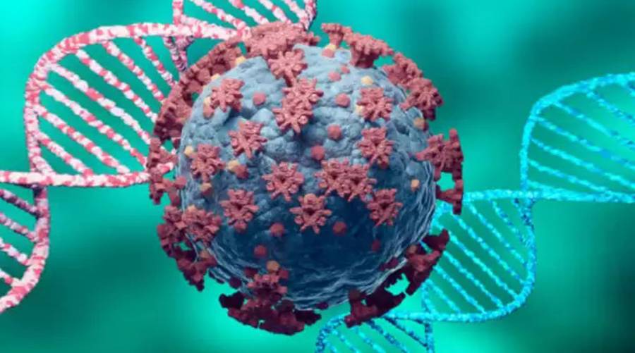 Pakistan reports no JN1 Omicron variant case, says health minister 
