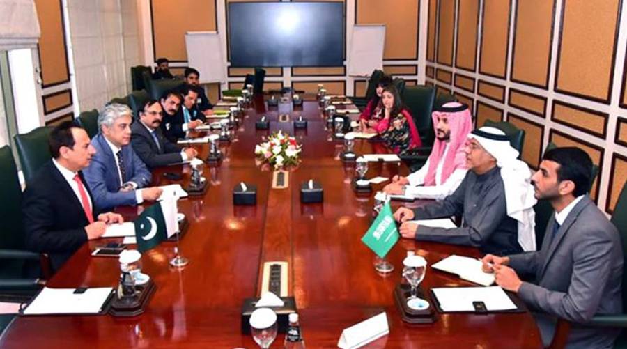 Saudi deputy health minister lauds Pakistan's health security moot 