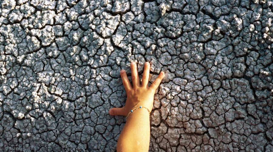 Climate change may aggravate eczema, finds UCSF study