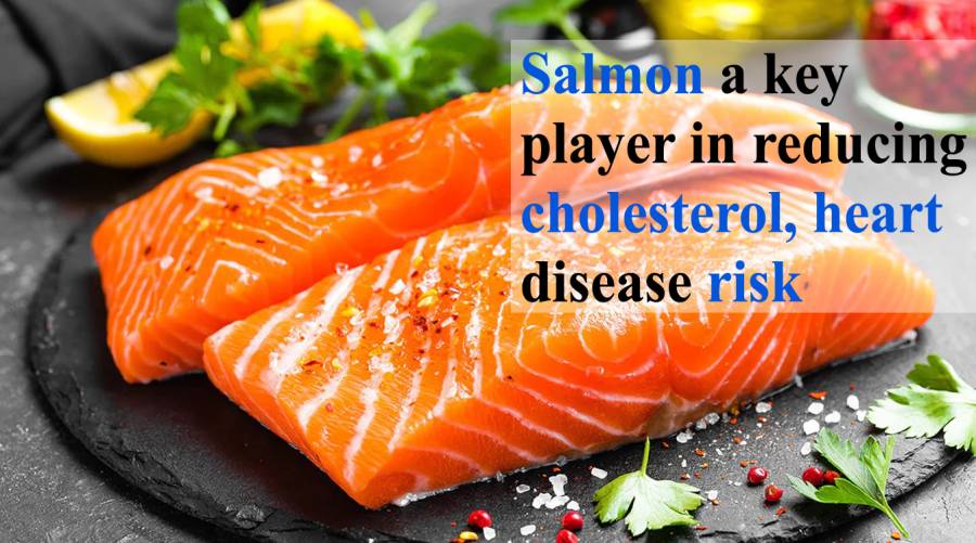 Salmon a key player in reducing cholesterol, heart disease risk