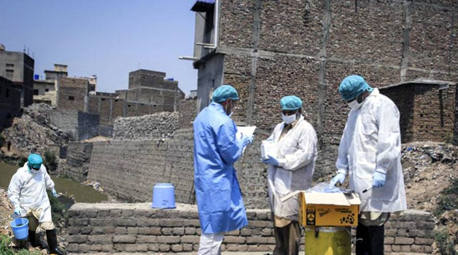 Poliovirus found in Lasbela sewage samples 