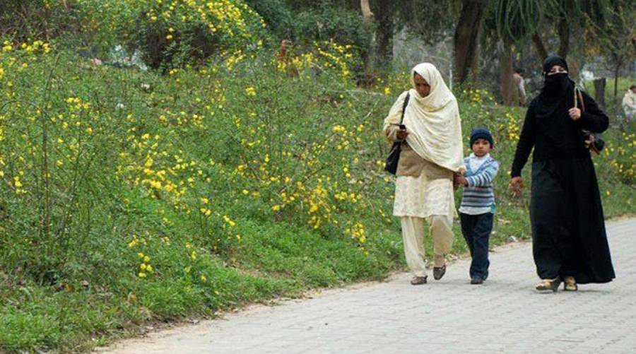 Experts warn of pollen allergy threat in Islamabad, Karachi