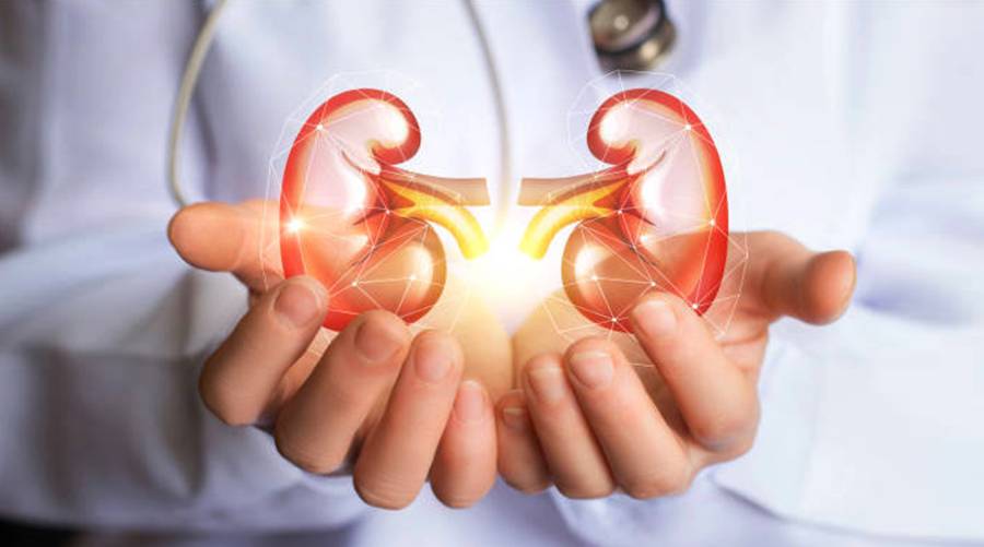 PNS moot discusses environmental degradation's impact on kidney health 