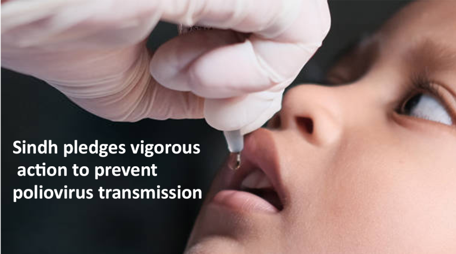 Sindh pledges vigorous action to prevent poliovirus transmission