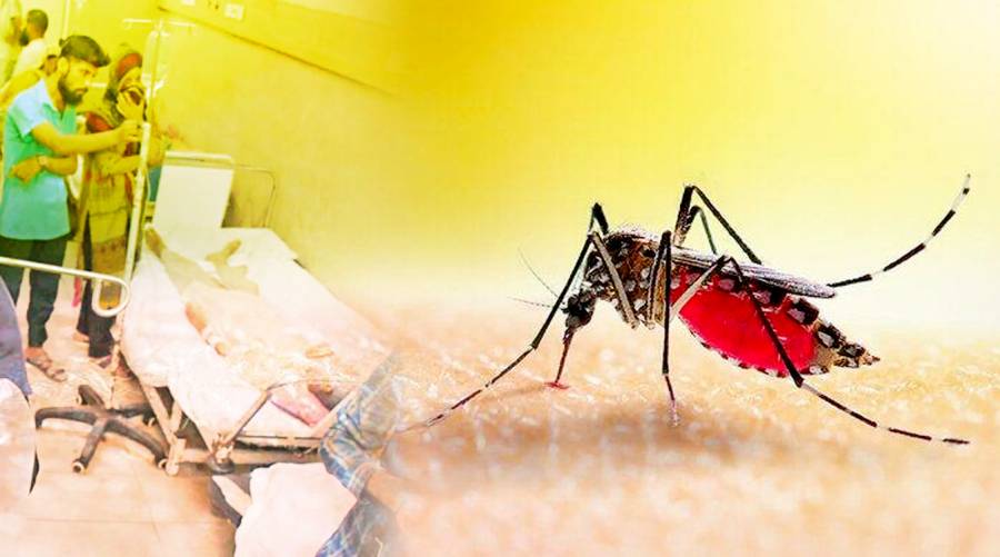 PMA concerned at surge in dengue, malaria and chickungunya