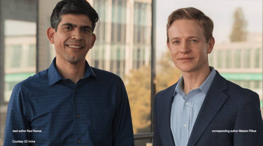 Lipocartilage breakthrough advances cartilage repair, tissue engineering