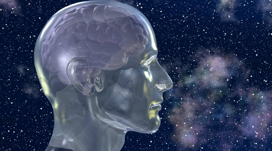 A transparent 3D-rendered human head with a visible brain, set against a cosmic background filled with stars and nebulae, symbolizing cognitive science, brain health, and human consciousness.