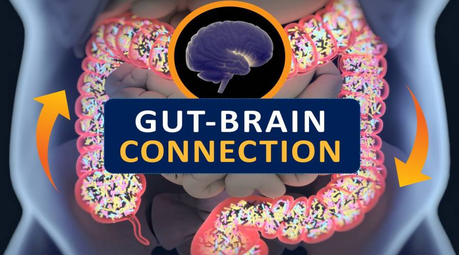 Illustration of the gut-brain connection depicting how gut microbiota impact mental health, stress response, and anxiety symptoms through the gut-brain axis.