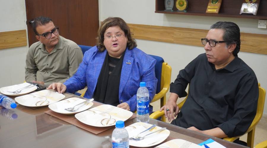 Iram Ghafoor, Vice President of the International Diabetes Federation (IDF) talking to media at Karachi Press Club.