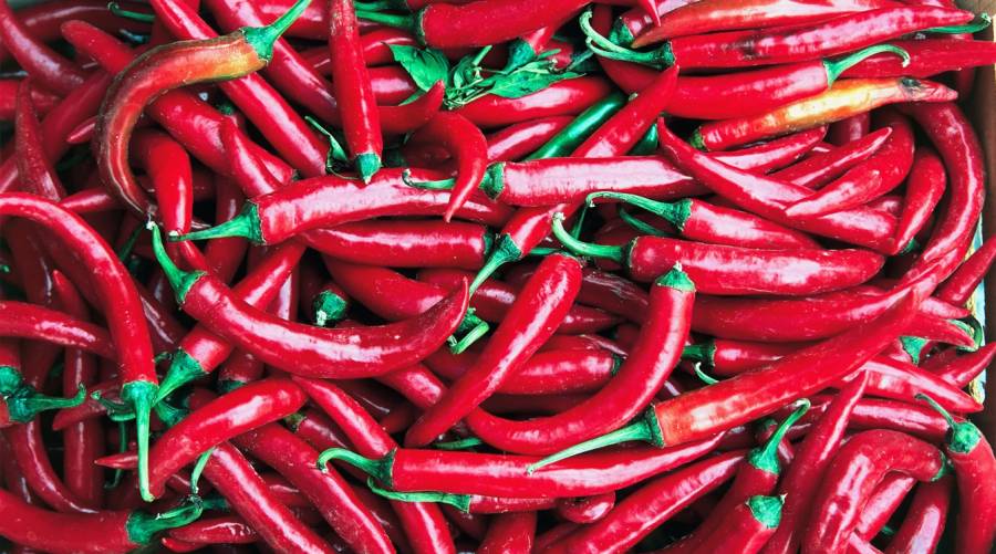 A plateful of spicy red chilli