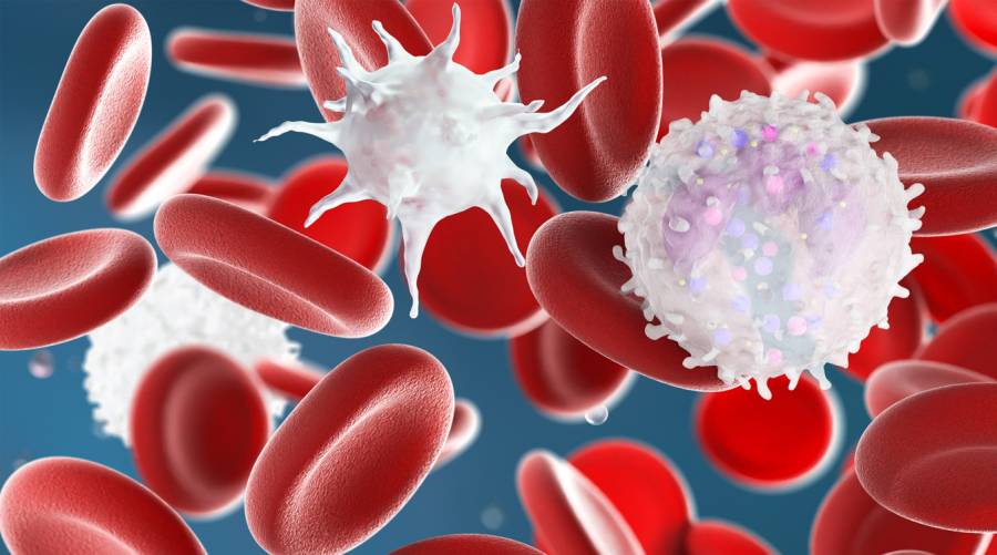 Graphic depiction of platelets flowing within a blood vessel.