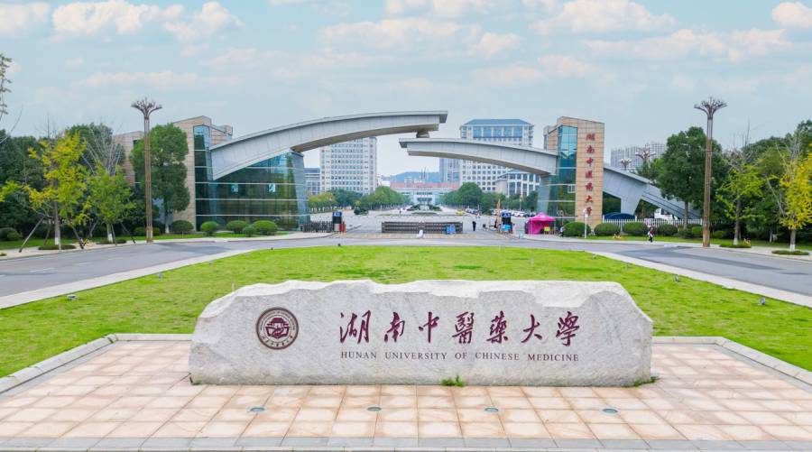 Sindh doctors in China starting traditional Chinese medicine training at Hunan University.
