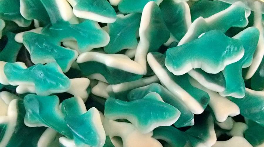 Gummy shark fish may be a safe and sustainable seafood option for children with fish allergy, study shows