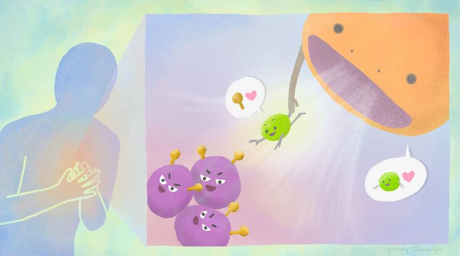 Kyoto University scientists develop Crunch protein that removes cancer and autoimmune cells