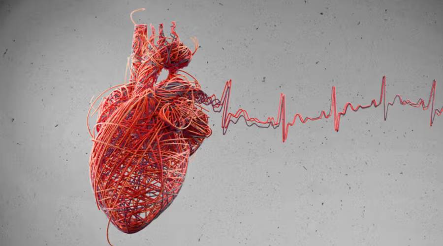 Researchers have found that bacteria commonly present in the mouth may play a critical role in triggering heart attacks by inflaming coronary plaques.