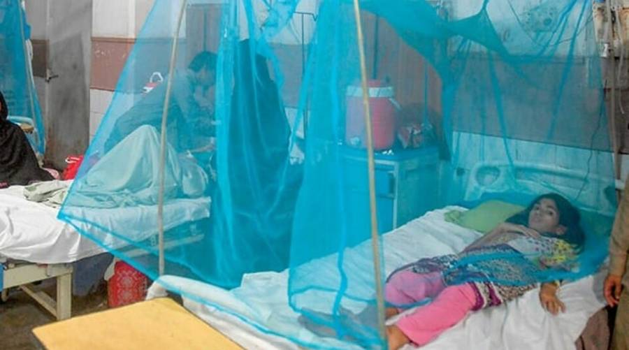 Dengue patients lying in hospital beds inside a dengue ward as medical staff provide care amid rising cases.