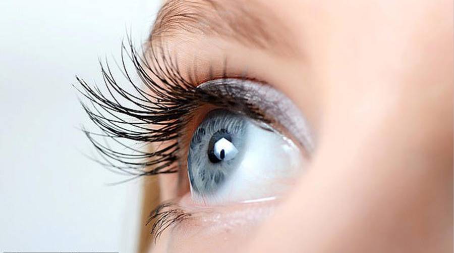 Close-up of human eye with natural eyelashes demonstrating their water-repelling and eye-protective function.