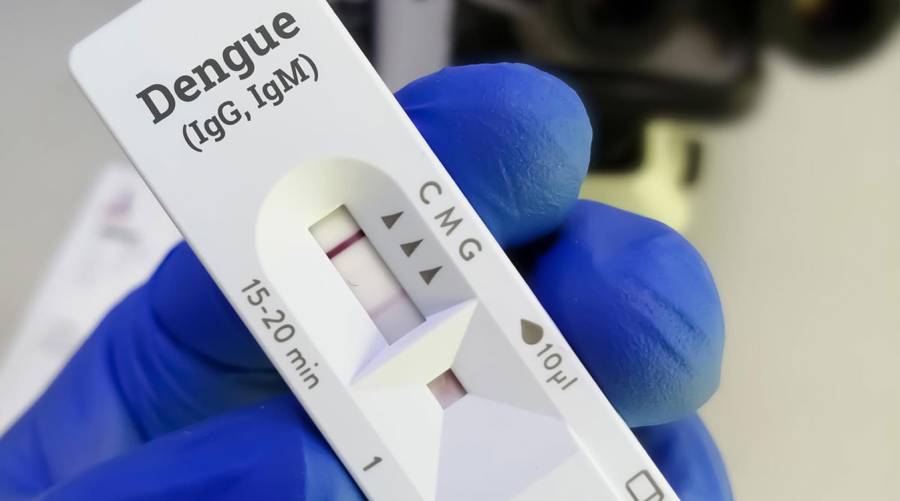 Over 557 dengue cases reported across Sindh in 2025, with Karachi leading. Sindh Health Department urges preventive measures amid growing outbreak.