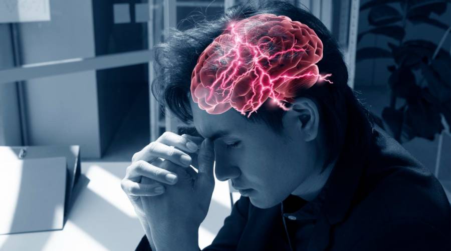 Scientists discover high-fat diet harms memory in two days in mice study