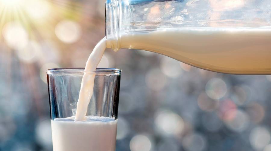 Research study shows pasteurized milk containing H5N1 virus fragments is safe and does not affect flu immunity