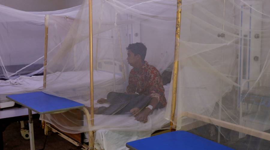 Malaria cases in Sindh reach 192,571 with Hyderabad reporting the highest number of infections.