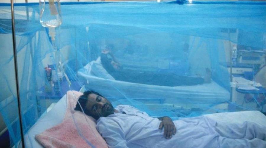 Sindh dengue crisis worsens as anti-dengue campaign falters amid unpaid staff and poor fumigation across Karachi and other districts