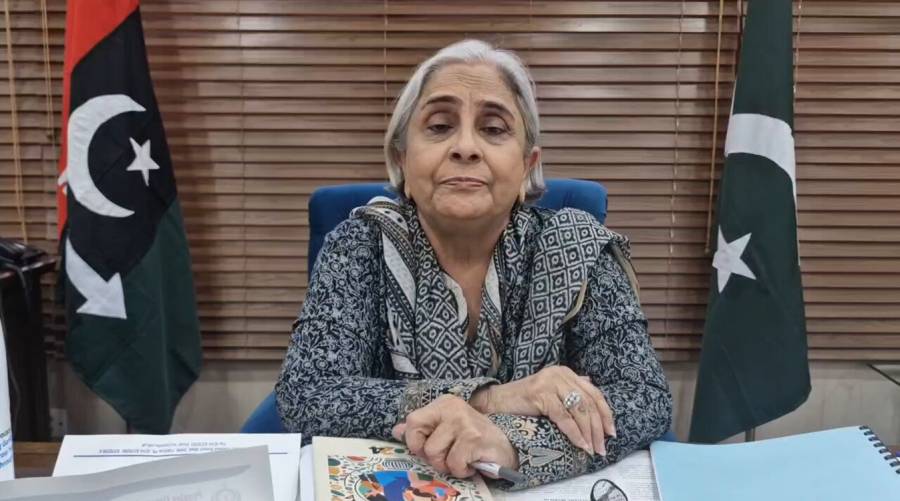 Dr Azra Pechuho leads a meeting on tackling quackery and the rise in HIV cases across Sindh.