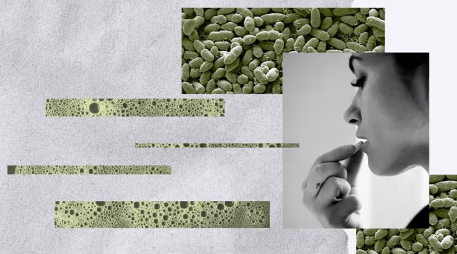 Antibiotics and several prescription drugs found to cause long-term gut microbiome disruption.