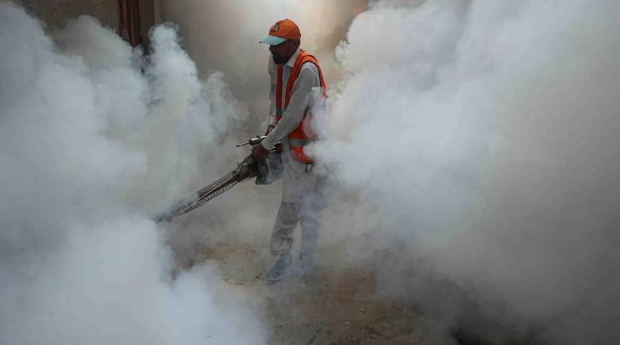 Sindh reports 1,213 new dengue cases in past 24 hours