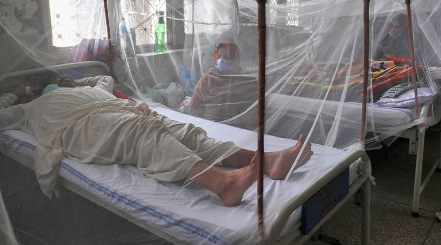 Karachi faces a dengue outbreak as hospital wards overflow with patients. Civil Hospital and JPMC struggle to manage rising dengue cases.