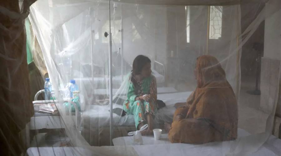 PMA slams Sindh govt. over ‘man-made crisis’ as death toll from dengue climbs to 27